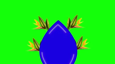 Blue, Green, White Bird and Screen and Water Green Screen Vídeo Stock 339348663