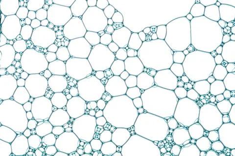 Blue grid Stock Photos