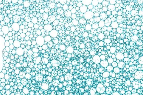 Blue grid Stock Photos