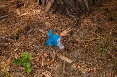 A blue haired doll with legs visible on pine needle forest floor Stock Photos