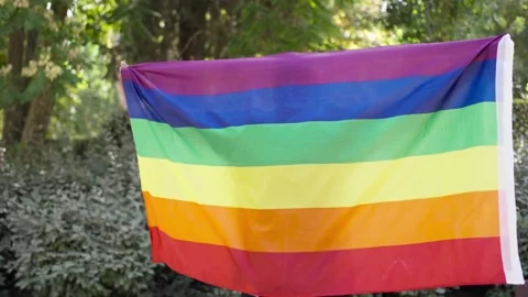 Blue haired man from behind wrapped in LGBTQ flag unfurl  flag Stock Footage 287488616