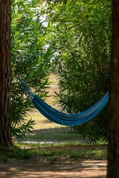 Blue hammock in a forest Stock Photos