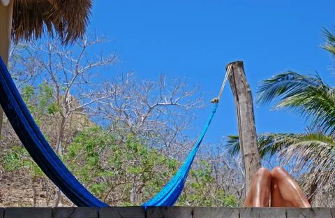 Blue hammock Stock Photos
