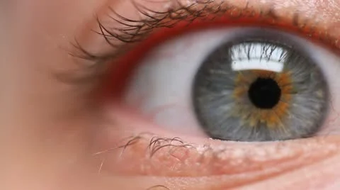 Blue Hazel Eyeball looking around 库存影片 20491148
