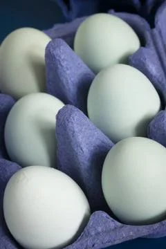 Blue Hens Eggs Stock Photos