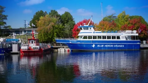 Blue Heron Cruises Stockbeeldmateriaal 219521522