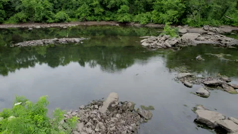 Blue Heron flies from river Stock Footage 201206880