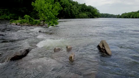 Blue Heron in rapids Stock Footage 201110956