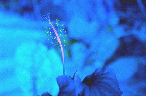 Blue Hibiscus Flower Macro Close-Up With Neon Stamen and Artistic Textured .. Illustrazione stock