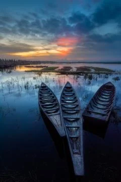 The Blue Horizon Stock Photos