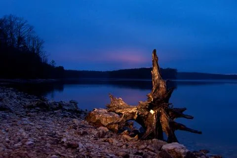 Blue hour log Stock Photos