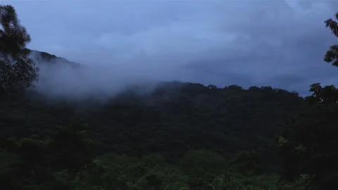 Blue hour to night. Dense ever-changing fluffy cloudscape and light shadow. Stock Footage 278184565