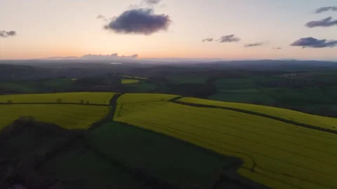 Blue Hour over Rapeseed fields and farms from a drone, Devon, England Stock Footage 240200825