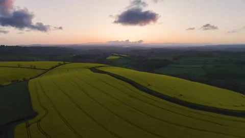 Blue Hour over Rapeseed fields and farms from a drone, Devon, England Stock Footage 240200850