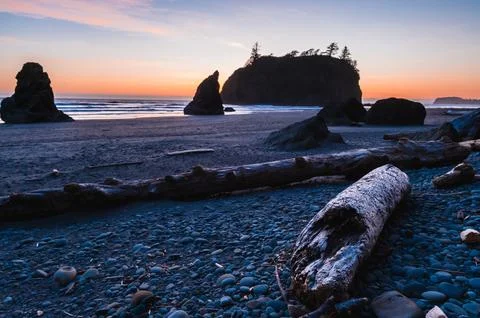 Blue hour on Ruby Beach. Stock Photos