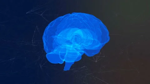 Blue human digital brain rotates in the structure of the plexus Stock Footage 103318839