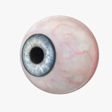 Blue Human Eye 3D Model