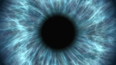 Blue human eye dilating and contracting. Very detailed extreme close-up of iris Stock Footage