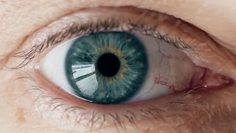 Blue human man eye looking at camera, close up. Stock-Footage 78799040