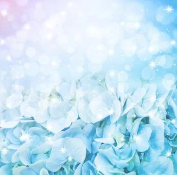 Blue hydrangea background Stock Photos