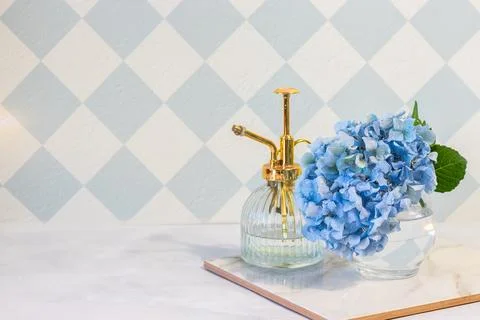 Blue hydrangea flowers close up Stock Photos