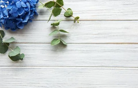 Blue hydrangea flowers Foto stock