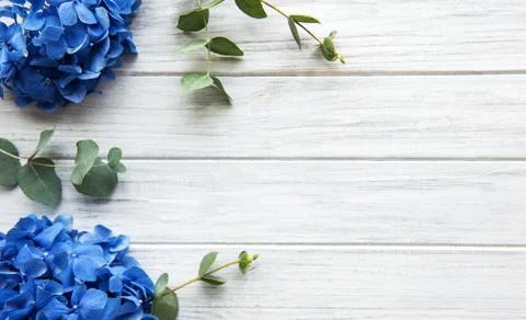 Blue hydrangea flowers Foto stock
