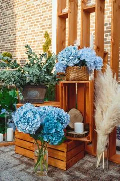 Blue hydrangea in a wicker basket Stock Photos