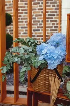 Blue hydrangea in a wicker basket Stock Photos
