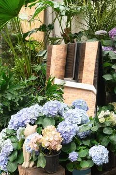 Blue hydrangeas and cat statue in garden with brick reflection Stock Photos