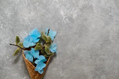 Blue hydrangeas and willow twigs in a waffle cone. Spring concept Stock Photos