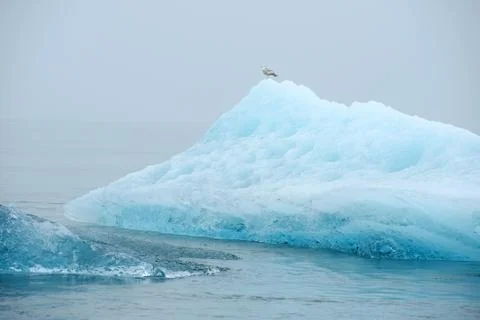Blue iceberg Stock Photos