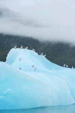 Blue iceberg Stock Photos