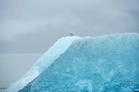 Blue iceberg Stock Photos