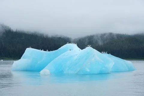 Blue iceberg Stock Photos