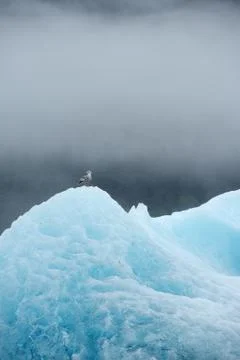 Blue iceberg Stock Photos