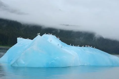Blue iceberg Stock Photos