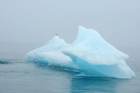 Blue iceberg Stock Photos