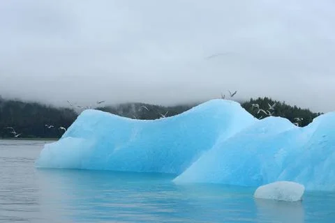 Blue iceberg Stock Photos