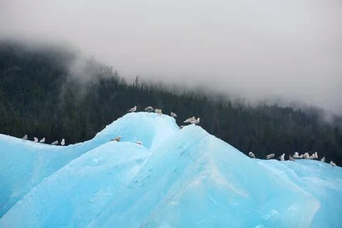 Blue iceberg Stock Photos