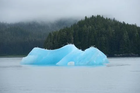 Blue iceberg Stock Photos
