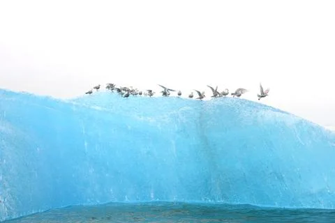 Blue iceberg Stock Photos