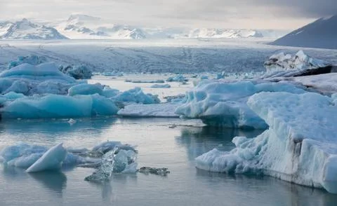 Blue icebergs floating Stock Photos
