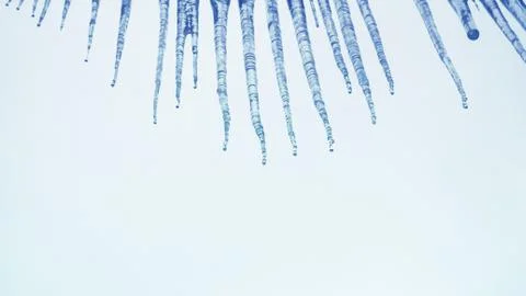 Blue icicles, white background. Stock Photos