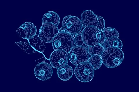 Blue image of a bunch of blueberries. The image is a computer-generated drawing Stock Illustration