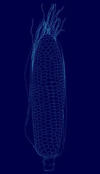 Blue image of a corn stalk with a blue stem. The image is a digital of a corn Stock Illustration