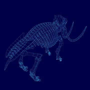 Blue image of a elephant skeleton with a large tusk. The skeleton is shown in a Stock Illustration