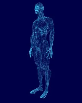Blue image of a human figure with a blue background. The figure is in a standing Stock Illustration