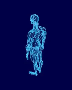 Blue image of a man with blue veins and muscles. The man is standing and looking Stock Illustration