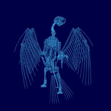 Blue image of a skeleton bird with a blue wing. The skeleton bird is shown in a Illustrazione stock